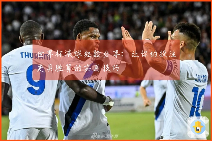 世界杯滚球经验分享：让你的投注更具胜算的实用技巧