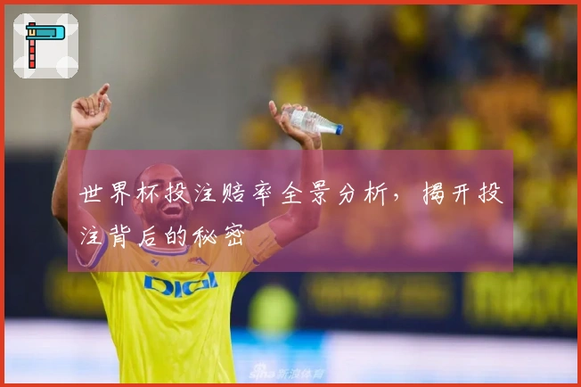 世界杯投注赔率全景分析，揭开投注背后的秘密