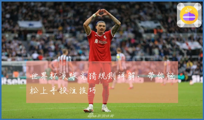 世界杯滚球竞猜规则详解，带你轻松上手投注技巧