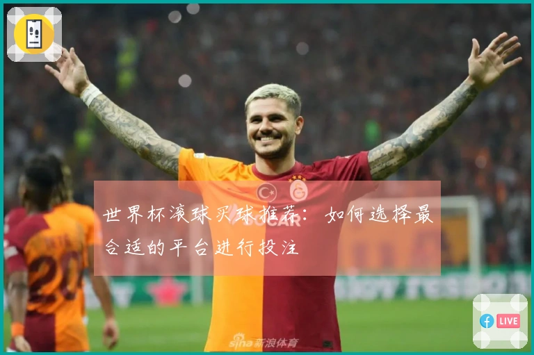世界杯滚球买球推荐：如何选择最合适的平台进行投注