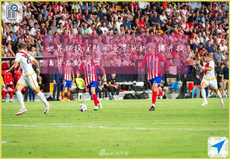 世界杯投注赔率全景分析，揭开投注背后的秘密