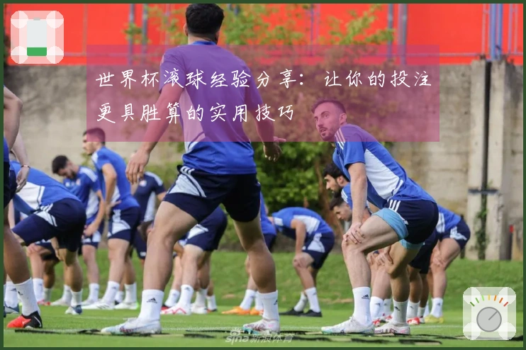 世界杯滚球经验分享：让你的投注更具胜算的实用技巧