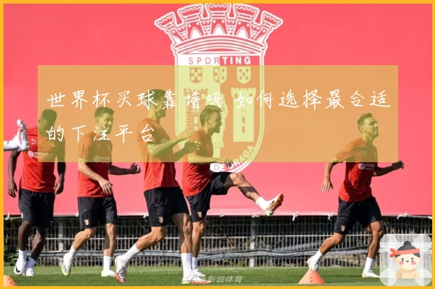 世界杯买球靠谱吗 如何选择最合适的下注平台