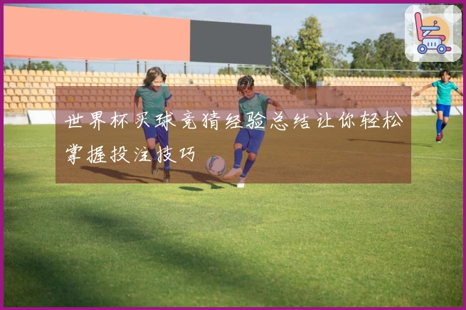 世界杯买球竞猜经验总结让你轻松掌握投注技巧