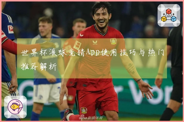 世界杯滚球竞猜App使用技巧与热门推荐解析