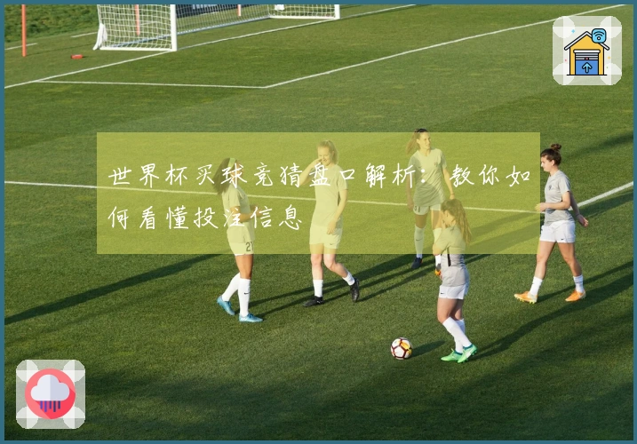 世界杯买球竞猜盘口解析：教你如何看懂投注信息