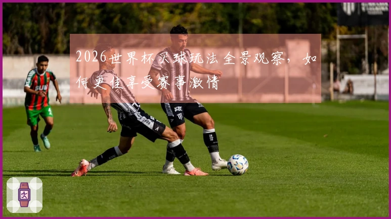 2026世界杯买球玩法全景观察，如何更佳享受赛事激情