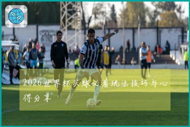 2026世界杯买球必看玩法技巧与心得分享