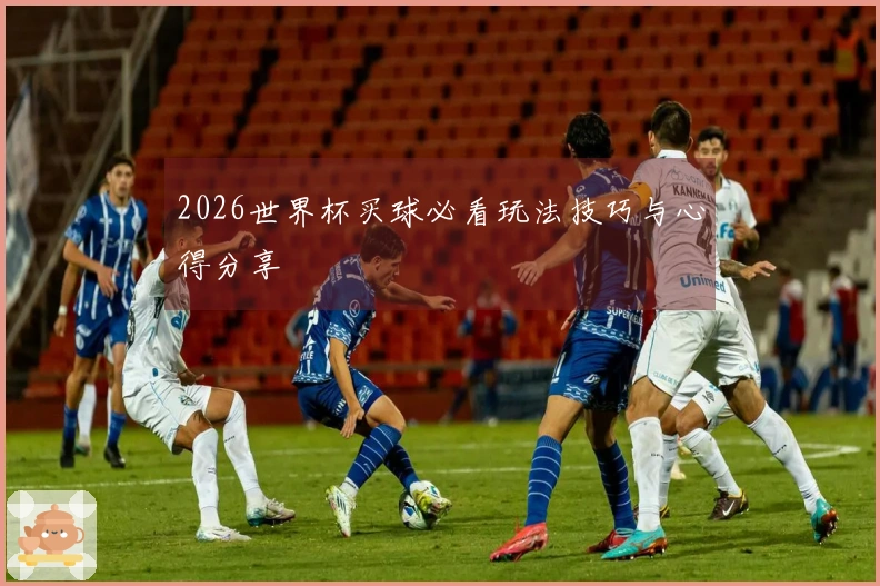 2026世界杯买球必看玩法技巧与心得分享