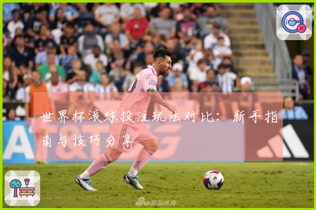 世界杯滚球投注玩法对比：新手指南与技巧分享